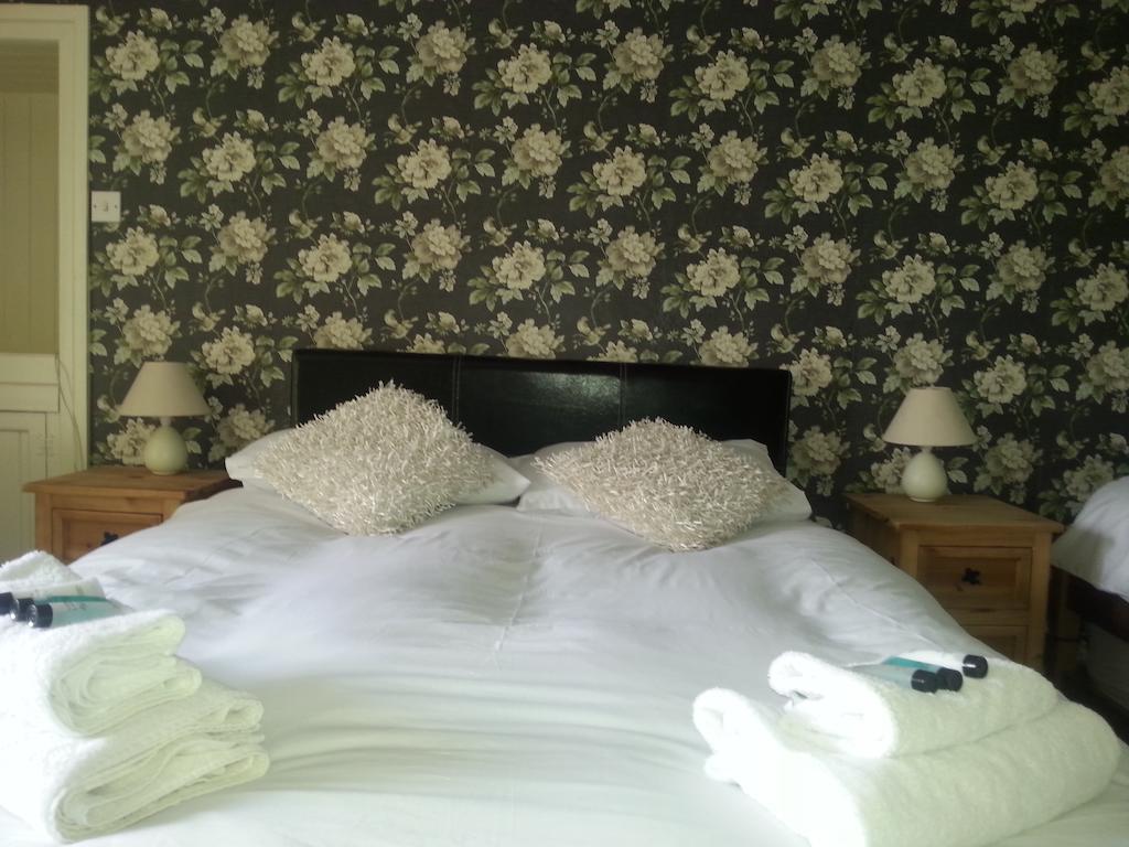 Red Lion Hotel Ystrad Meurig Pokój zdjęcie