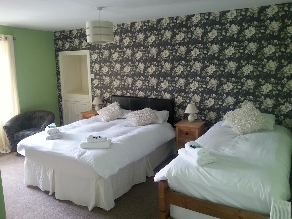 Red Lion Hotel Ystrad Meurig Pokój zdjęcie